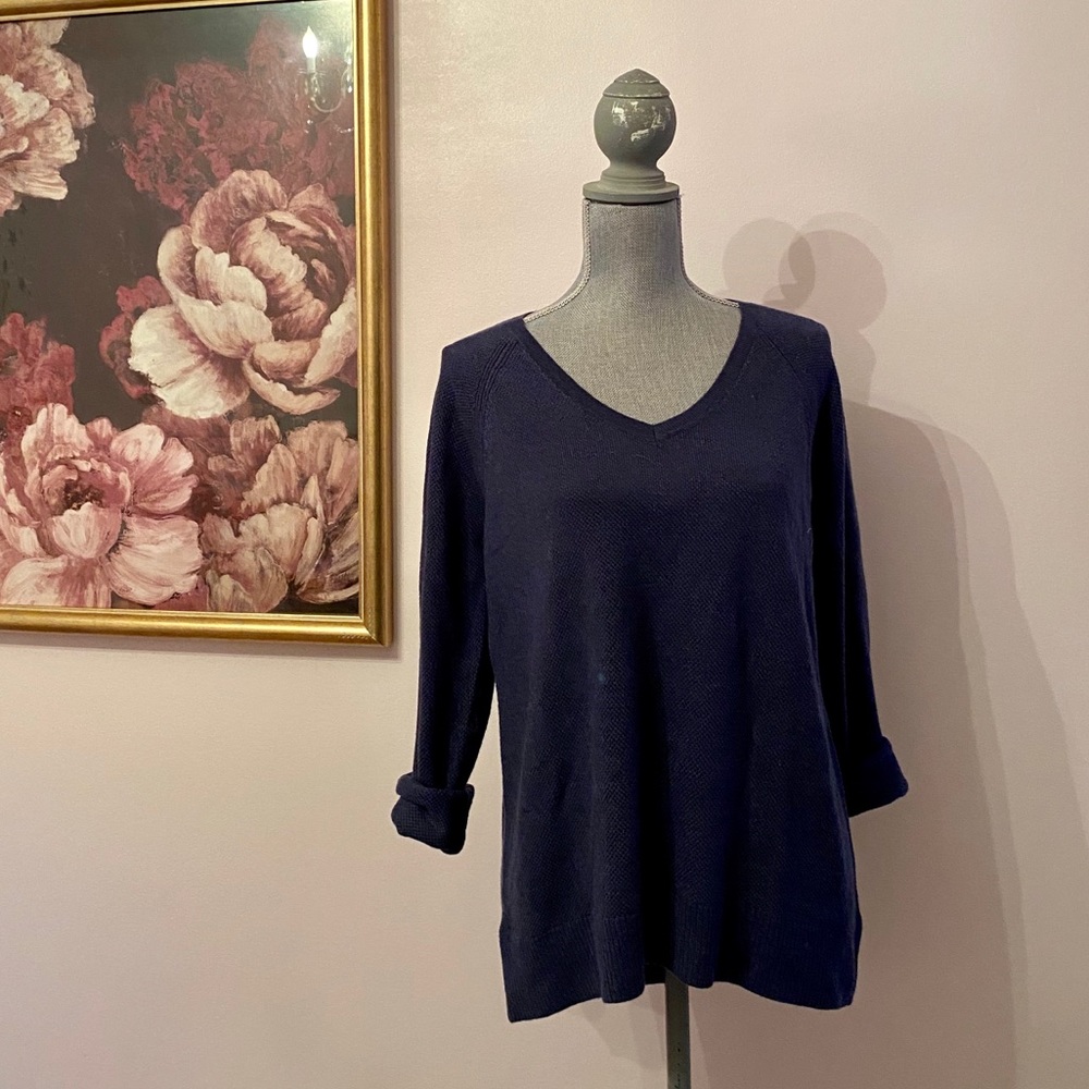 NWT gap v-neck sweater in Navy blue